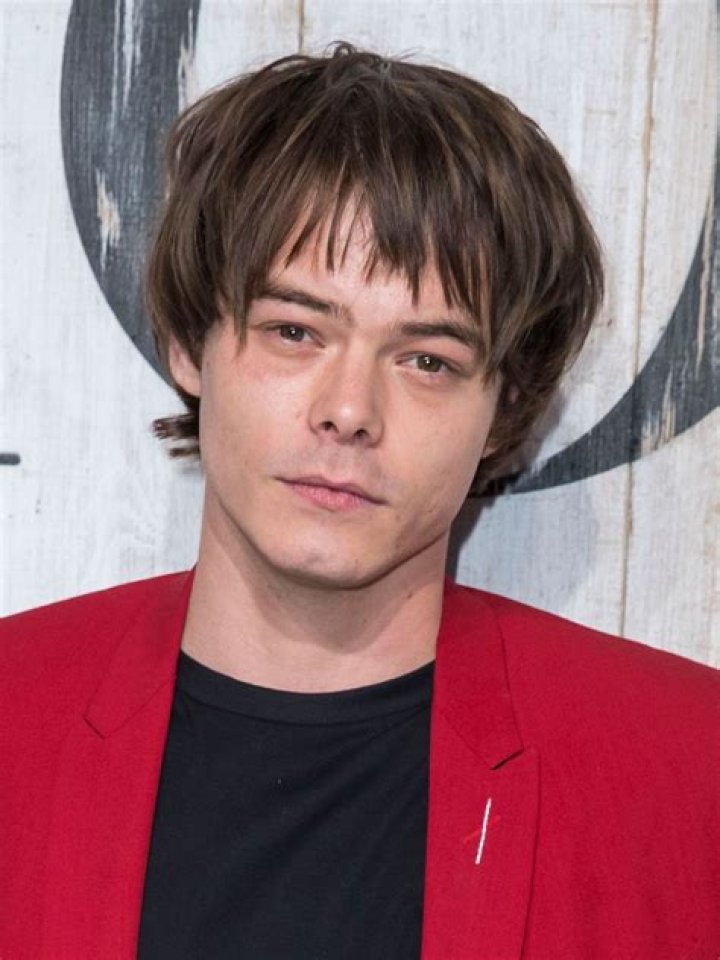 Charlie Heaton Bio – Hollywood Life