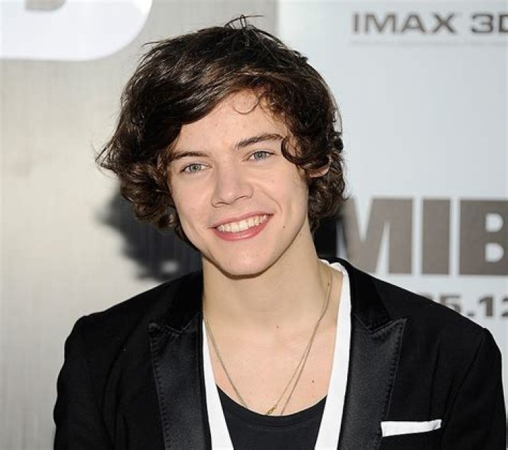 Harry Styles Fan Seemingly Faints On Live TV After Fist Bumping With Him: Watch