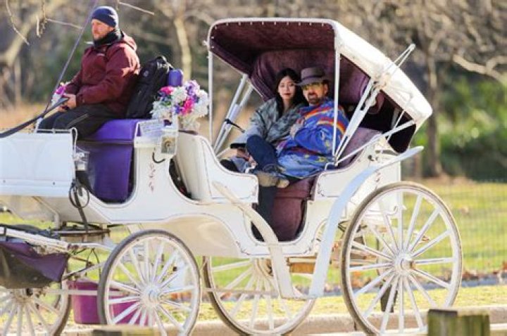 Nicolas Cage, 57, & His 5th Wife Riko, 26, Go For Romantic Carriage Ride After Wedding